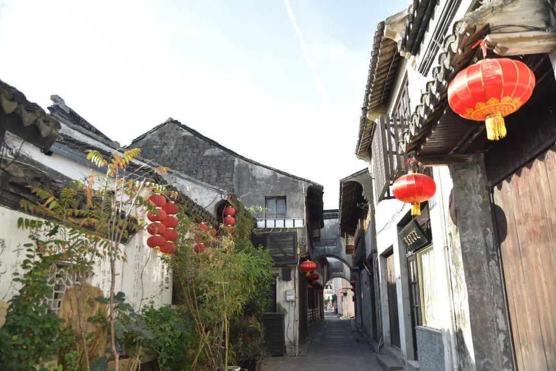 虫虫助手下载